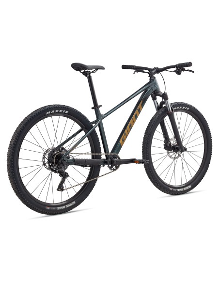 Dviratis GIANT Talon 2, 29" Asfalto žalias (L)