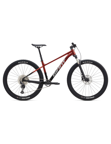 Dviratis GIANT Talon 0, 29" Mars Dust/Black (M)
