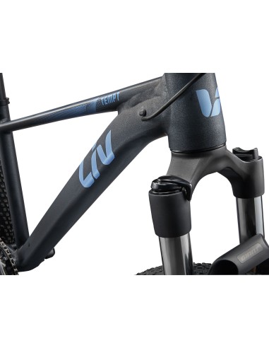 Moteriškas dviratis LIV Tempt 1, 29" Black Diamond (L)