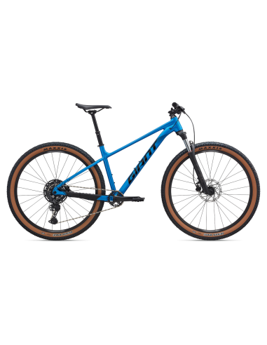 Dviratis GIANT Talon 1, 29" Metallic Blue (M)
