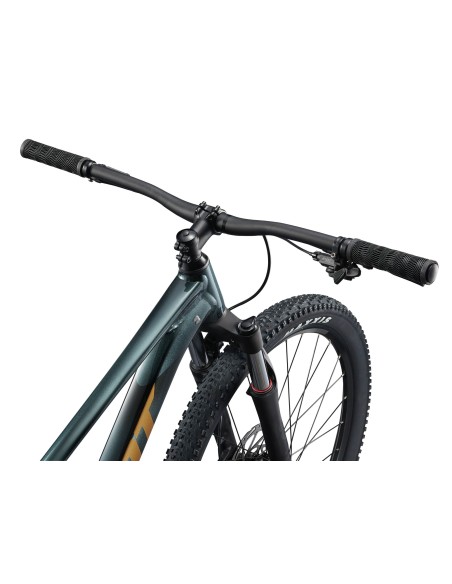 Dviratis GIANT Talon 2, 29" Asfalto žalias (XL)