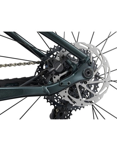 Dviratis GIANT Talon 2, 29" Asfalto žalias (XL)