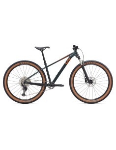 Vaikiškas dviratis LIV Tempt 0, 27.5" XS, asfalto žalias
