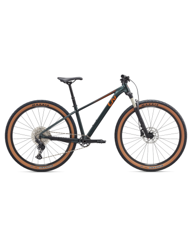 Vaikiškas dviratis LIV Tempt 0, 27.5" XS, asfalto žalias
