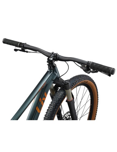 Vaikiškas dviratis LIV Tempt 0, 27.5" XS, asfalto žalias