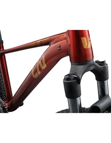 Vaikiškas dviratis LIV Tempt 2, 27.5" XS, Mars Dust