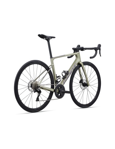 Plento dviratis GIANT Defy Advanced 2, lauro lapas (L)