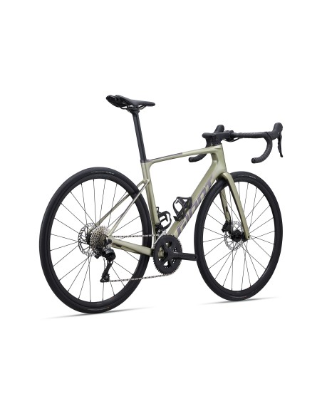 Plento dviratis GIANT Defy Advanced 2, lauro lapas (L)