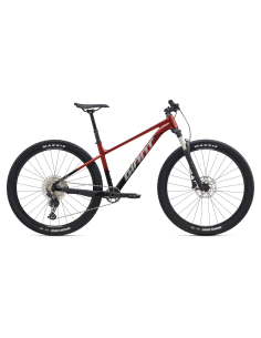 Dviratis GIANT Talon 0, 29" Mars Dust/Black (S)