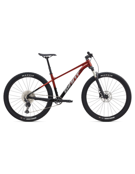 Dviratis GIANT Talon 0, 29" Mars Dust/Black (S)