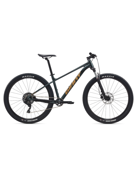 Dviratis GIANT Talon 2, 29" Asfalto žalias (S)