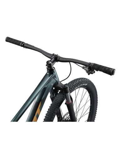 Dviratis GIANT Talon 2, 29" Asfalto žalias (S)