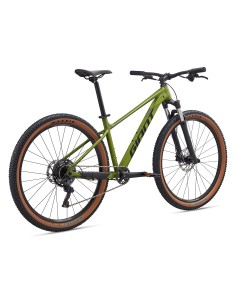 Dviratis GIANT Talon 2, 29" Dried Matcha (XL) 2