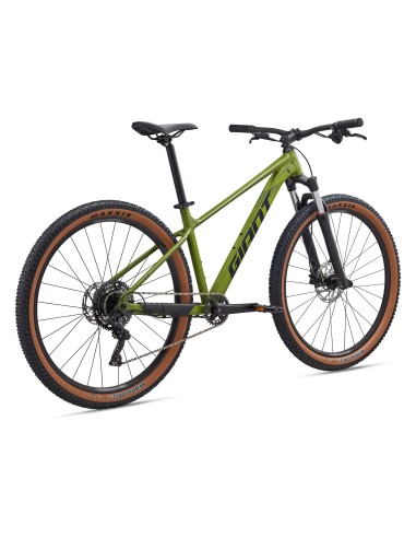 Dviratis GIANT Talon 2, 29" Dried Matcha (XL)