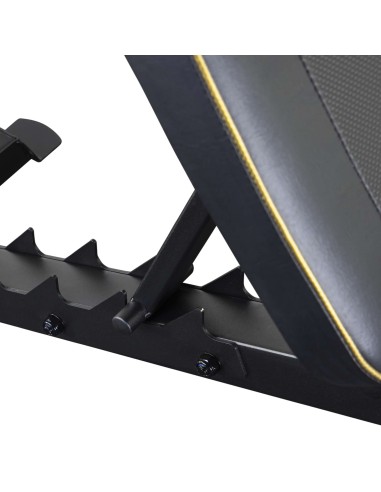 Treniruoklis TUNTURI Centuri UB100 Utility Bench