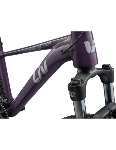 Vaikiškas dviratis LIV Tempt 3, 27.5" XS, Tyrian Purple