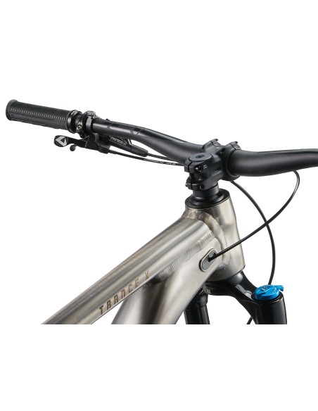 Kalnų dviratis GIANT Trance X 1, 29" dūminis metalas (M)