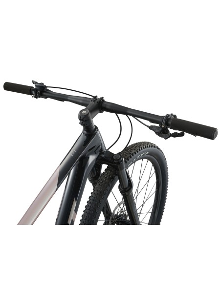 Kalnų dviratis GIANT XTC Advanced 29 2, juodas/baltas (S)
