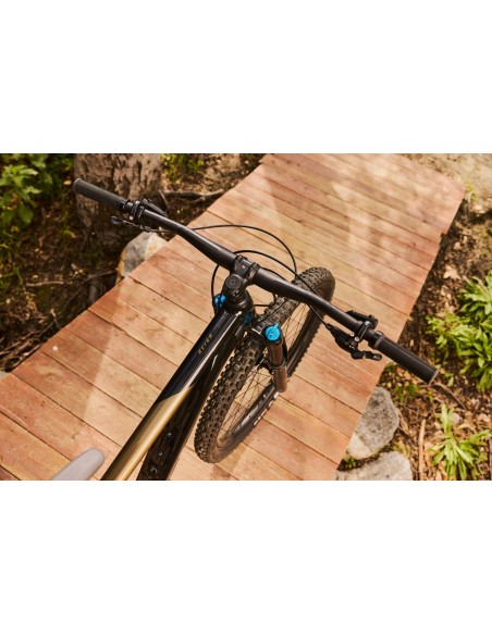 Kalnų dviratis GIANT Reign 2, 29" juodas/pirito rudas (S)