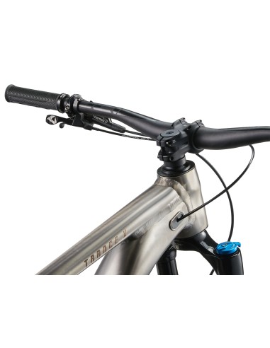 Kalnų dviratis GIANT Trance X 1, 29" dūminis metalas (L)