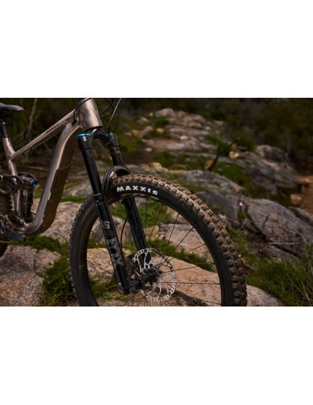 Kalnų dviratis GIANT Trance X 1, 29" dūminis metalas (L)