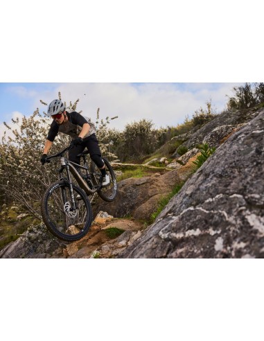 Kalnų dviratis GIANT Trance X 1, 29" dūminis metalas (L)