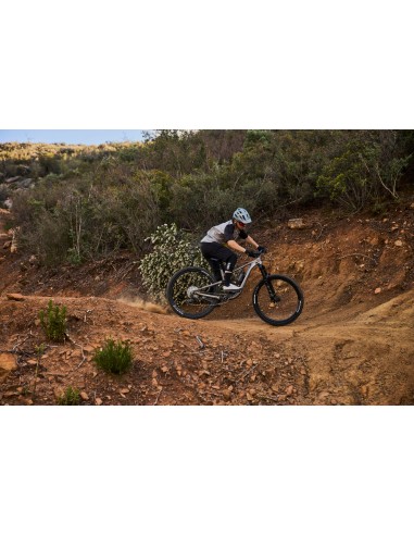 Kalnų dviratis GIANT Trance X 1, 29" dūminis metalas (L)