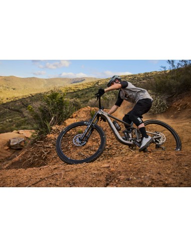 Kalnų dviratis GIANT Trance X 1, 29" dūminis metalas (L)