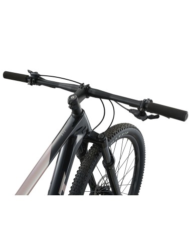 Kalnų dviratis GIANT XTC Advanced 29 2, juodas/baltas (M)