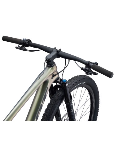 Kalnų dviratis GIANT Anthem Advanced 29 2, Golden Haze (XL)