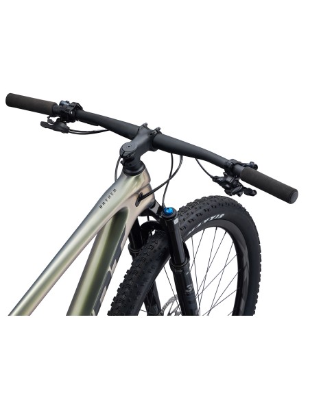 Kalnų dviratis GIANT Anthem Advanced 29 2, Golden Haze (XL)