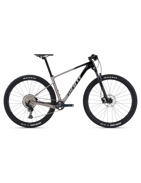 Kalnų dviratis GIANT XTC Advanced 29 2, juodas/baltas (L)