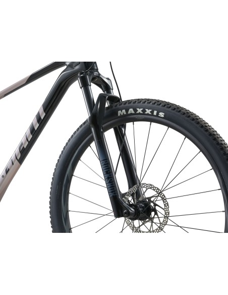 Kalnų dviratis GIANT XTC Advanced 29 2, juodas/baltas (L)