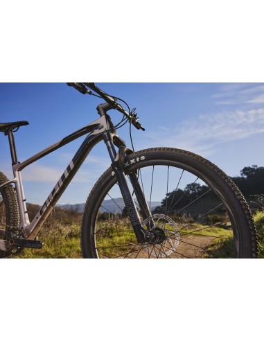 Kalnų dviratis GIANT XTC Advanced 29 2, juodas/baltas (L)