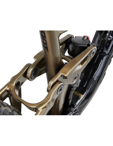 Kalnų dviratis GIANT Reign 2, 29" juodas/pirito rudas (L)