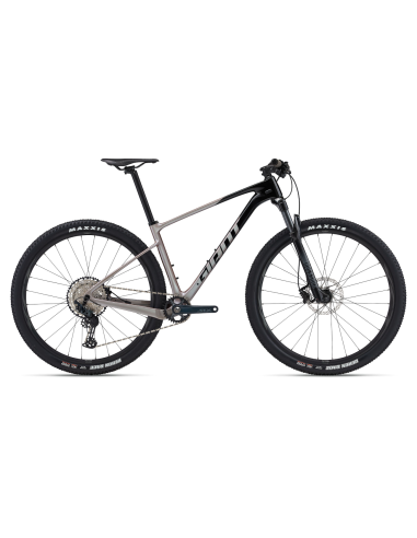 Kalnų dviratis GIANT XTC Advanced 29 2, juodas/baltas (XL)