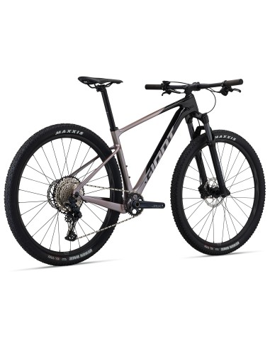 Kalnų dviratis GIANT XTC Advanced 29 2, juodas/baltas (XL)
