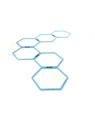 Šešiakampės vikrumo kopetėlės Amaya