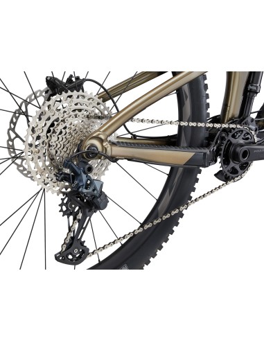 Kalnų dviratis GIANT Reign 2, 29" juodas/pirito rudas (XL)