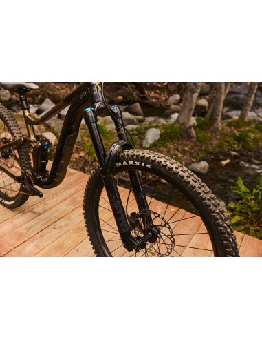 Kalnų dviratis GIANT Reign 2, 29" juodas/pirito rudas (XL)