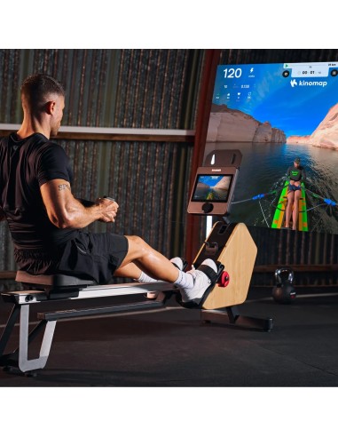 Irklavimo ergometras HAMMER RowTech Smart NorsK
