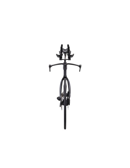 Plento dviratis GIANT Trinity Advanced SL 0, anglies pluošto/prizminio miglos imitacijos (L)