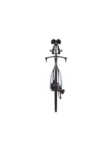 Plento dviratis GIANT Trinity Advanced SL 0, anglies pluošto/prizminio miglos imitacijos (L)