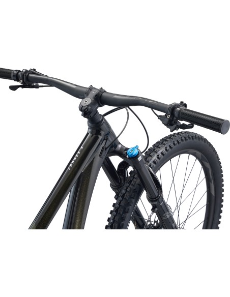 Kalnų dviratis GIANT Trance X 29 1, Panther (M)