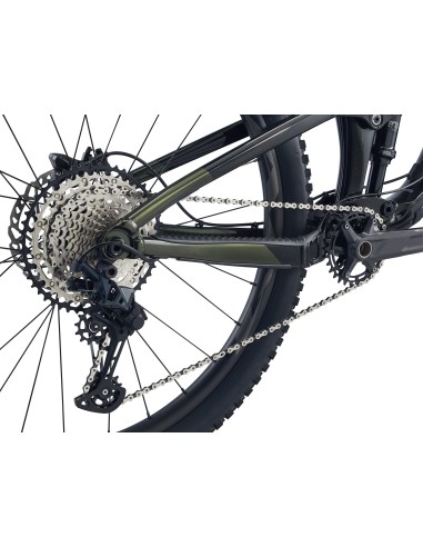 Kalnų dviratis GIANT Trance X 29 1, Panther (M)