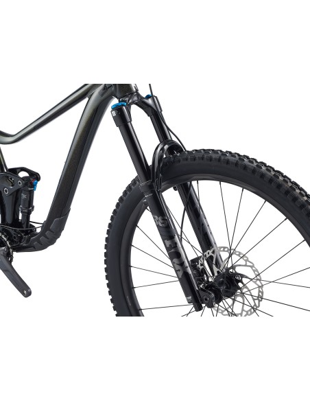 Kalnų dviratis GIANT Trance X 29 1, Panther (M)