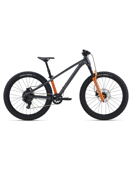 Vaikiškas dviratis GIANT STP 24 (2026) Juodas Chromas