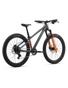 Vaikiškas dviratis GIANT STP 24 (2026) Juodas Chromas 2