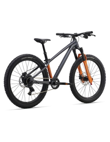 Vaikiškas dviratis GIANT STP 24 (2026) Juodas Chromas