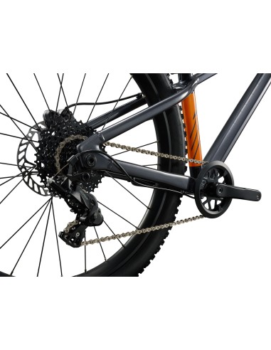 Vaikiškas dviratis GIANT STP 24 (2026) Juodas Chromas